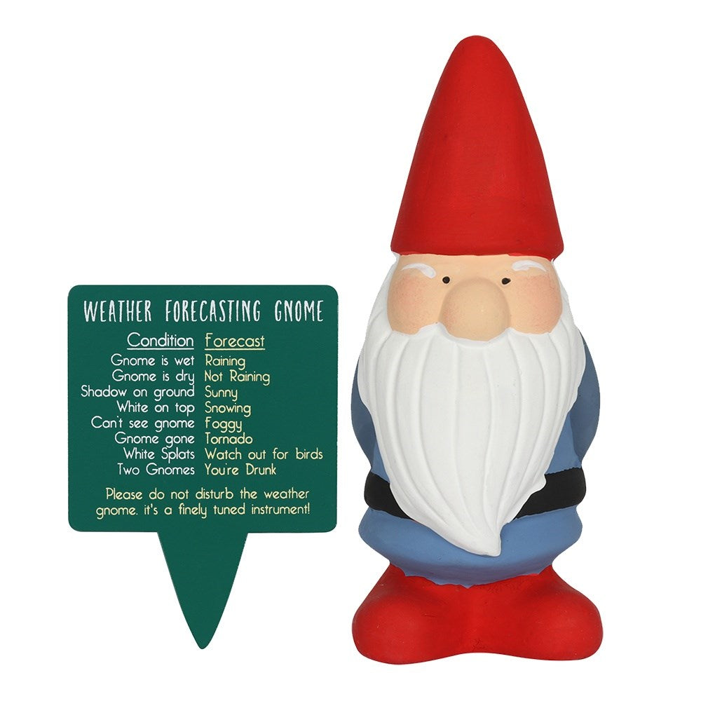 Garden Gnome Decorative Ornament Weather Forecasting Pot Pal Buddy 14cm