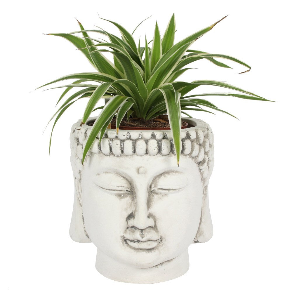 White Terracotta Buddha Head Planter Plant Pot Holder Home Garden Decor Ornament