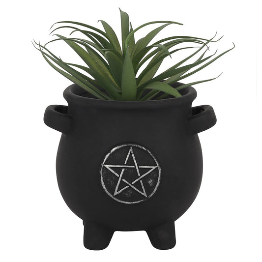 Pentagram Cauldron Black  Plant Pot