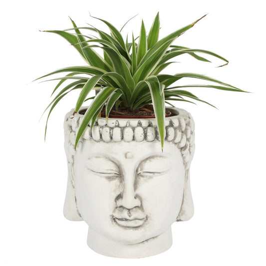 White Terracotta Buddha Head Planter Plant Pot Holder Home Garden Decor Ornament